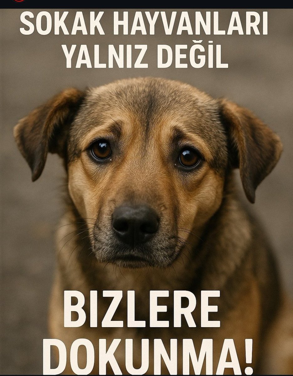 Ülkeyi bu utançtan kurtarın lütfen 😫🙏🙏
📍KANLI Katliam yasasını iptal edin‼️
Öldürmekten değil yaşatmaktan yana olun‼️<a href="/AYMBASKANLIGI/">Anayasa Mahkemesi</a> 
#YaşamHaktırAYM  #AYMYasayıİptalEt