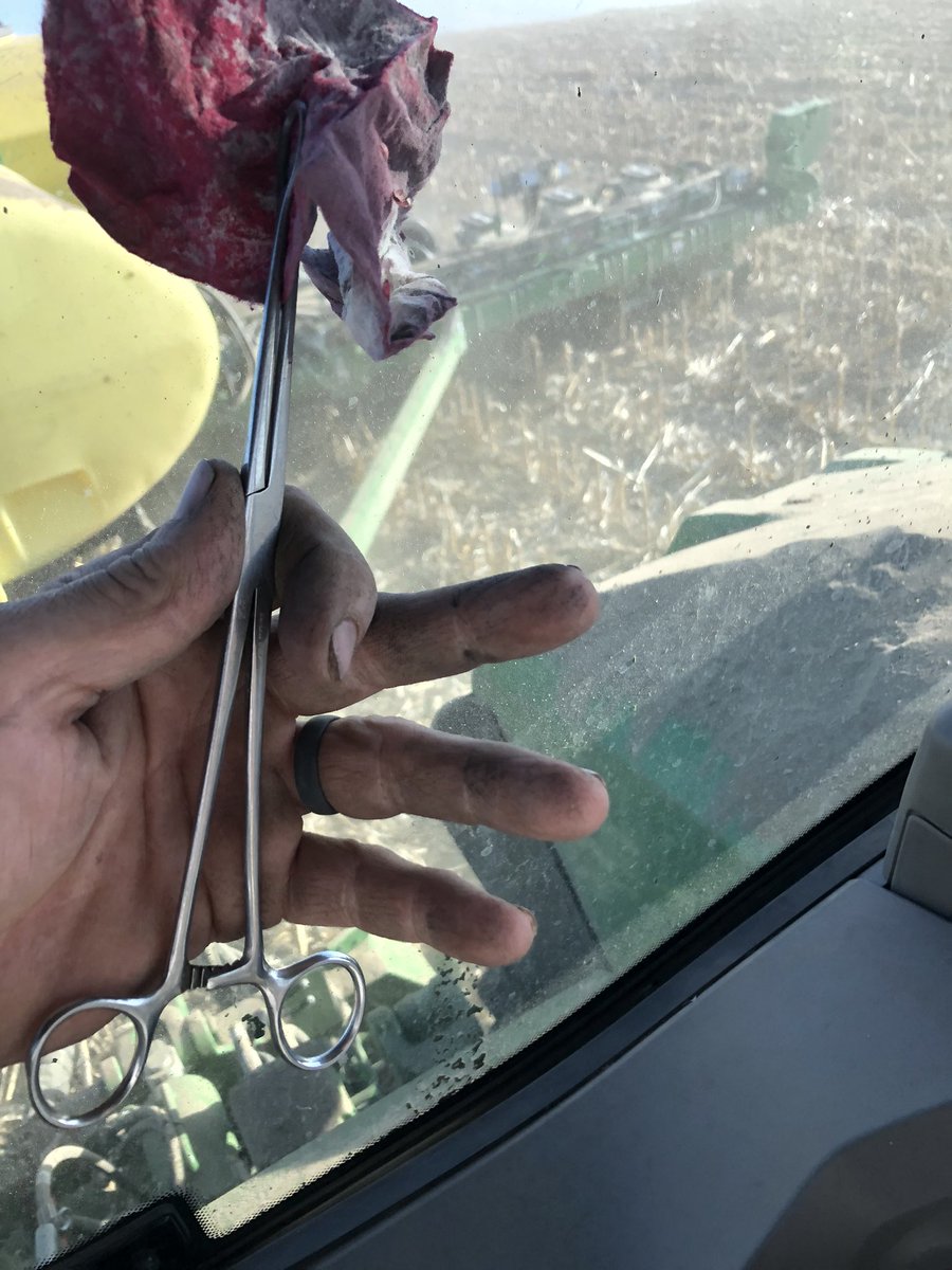 Had to raid the veterinary instrument drawer to surgically extract a shop rag from the central fill tube on the planter, carry on #plant25