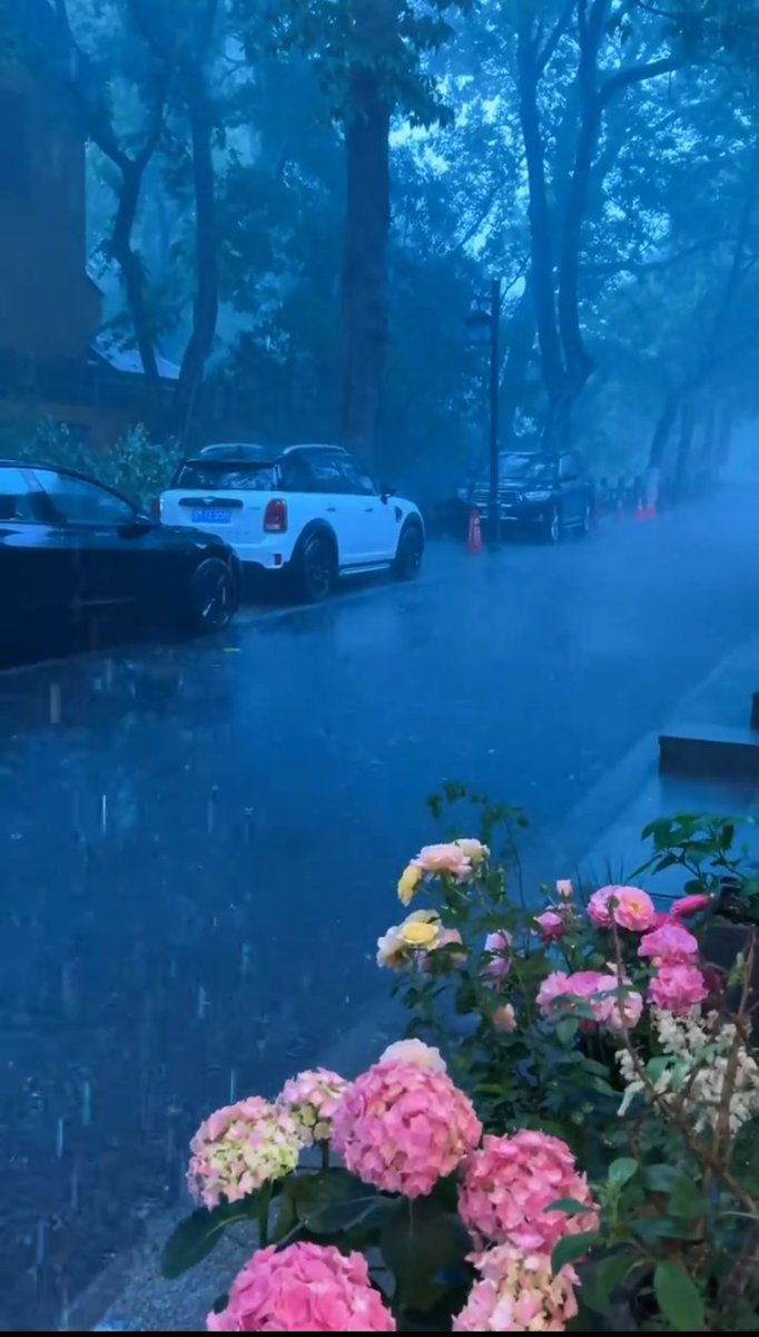 ourplayandart's tweet photo. "This rainy evening the wind is restless. I look at the swaying branches and ponder over the greatness of all things" — Tagore
#quote
#BeautifulWord
#WritingCommunity https://t.co/Uc1jQFJKDS