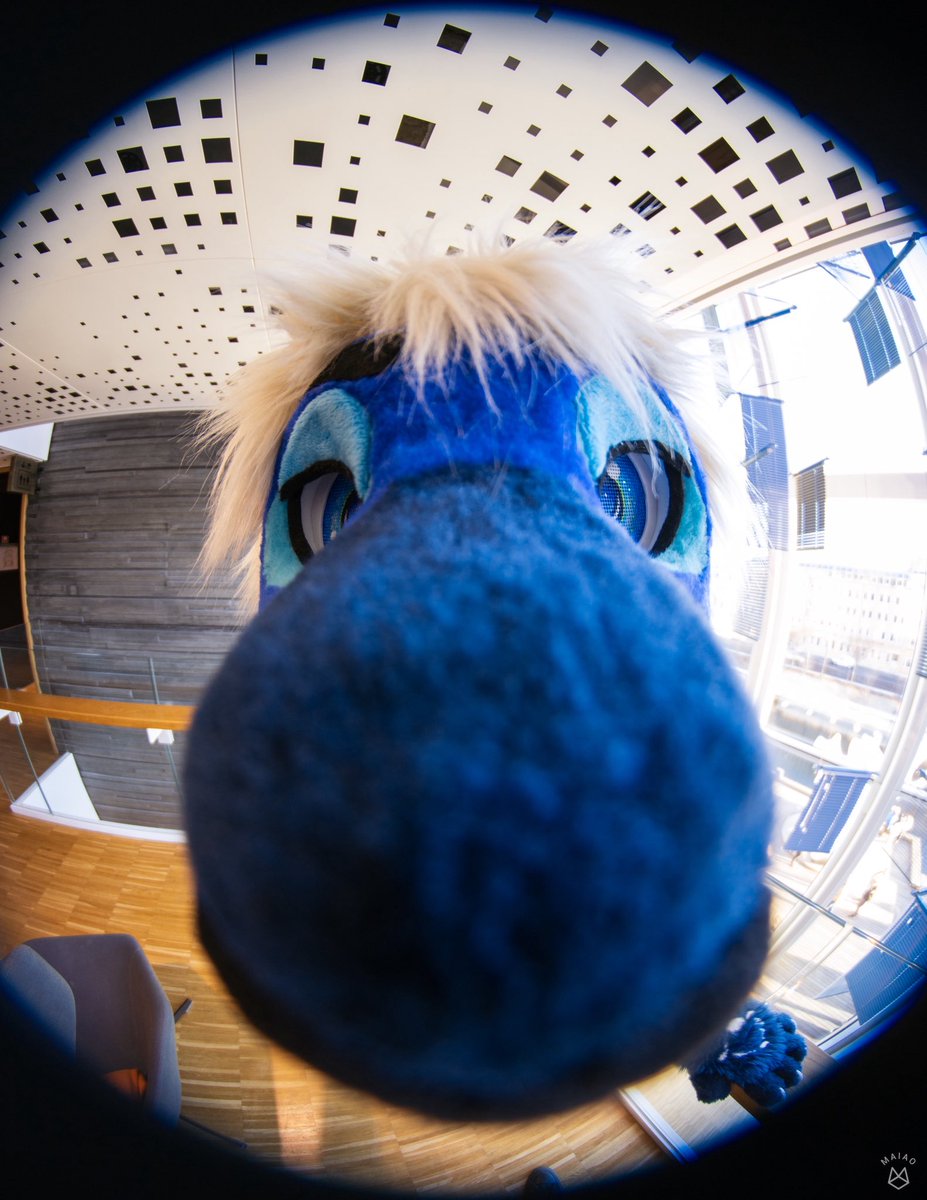 Snooooot!!! 🦁👃

📸 <a href="/leggyyyyyyy/">Maiao ⏚</a>