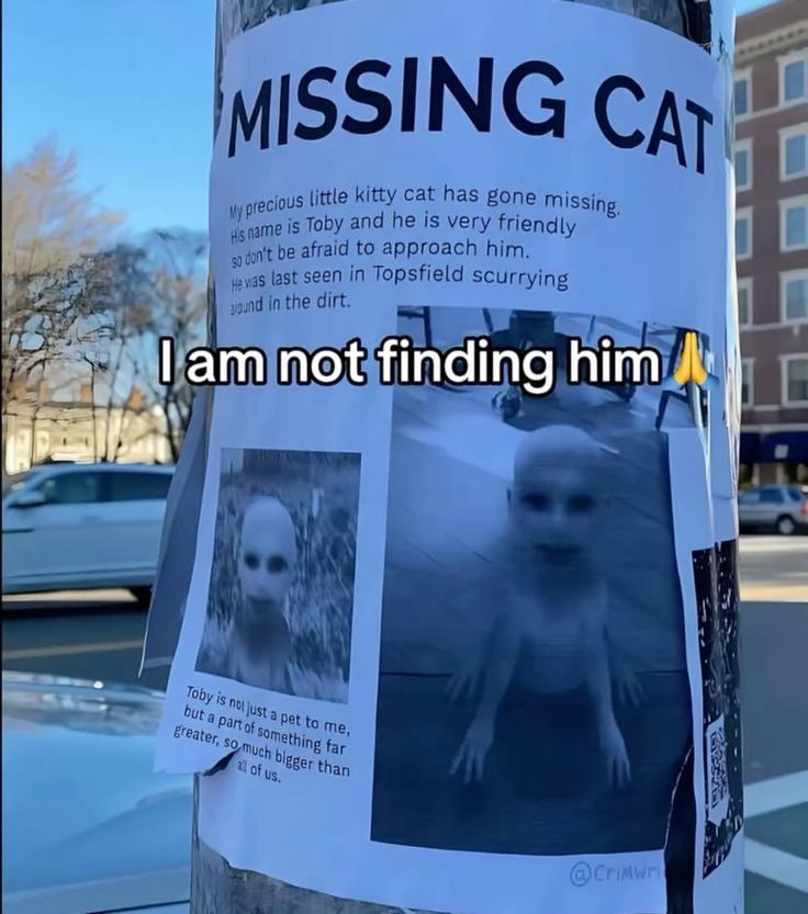🌌Mar is dead🌌 tweet media