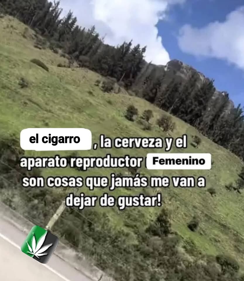 fumar maracay🚬 (@fumar_maracay) on Twitter photo 