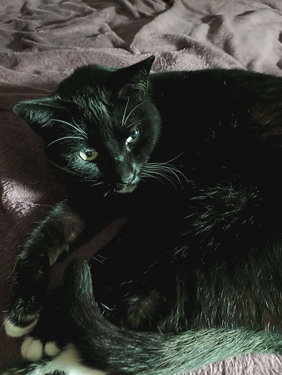 Anxious about my interview tomorrow. Neither of my fellas can help with the room in the morning, so more anxiety. I NEED to land this job. Any help with the room for tomorrow is greatly appreciated. I need to drum up $79.20 for the am.
Azi taxes included. paypal.me/therealremimew