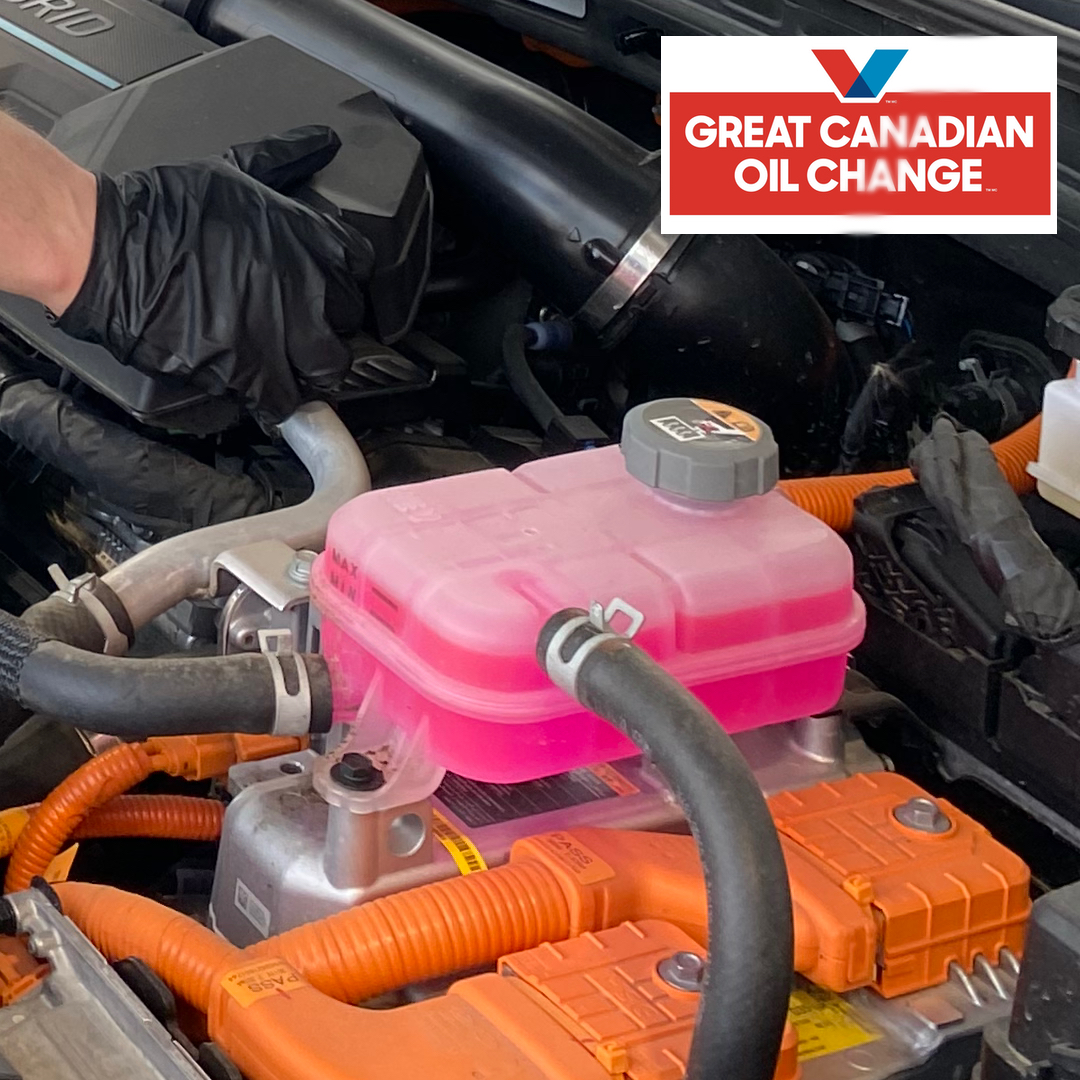 IT’S STARTING TO HEAT UP! Let us help you keep cool this summer - coolant services AVAILABLE HERE!

See you down the road! 🚗
QUICK. TRUSTED. EXPERT CARE.
No appointment needed.

gcoc.ca/locations/mani…

#bestoilchange #gcocsteinbach #oilchangesteinbach