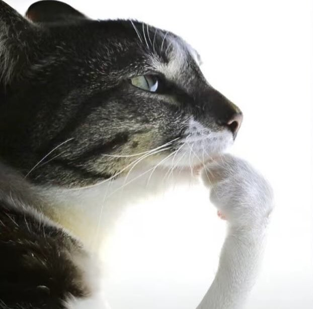 BertDraws's tweet image. I think it's time to kill farris yall he got way too greedy with bangers #allfacts