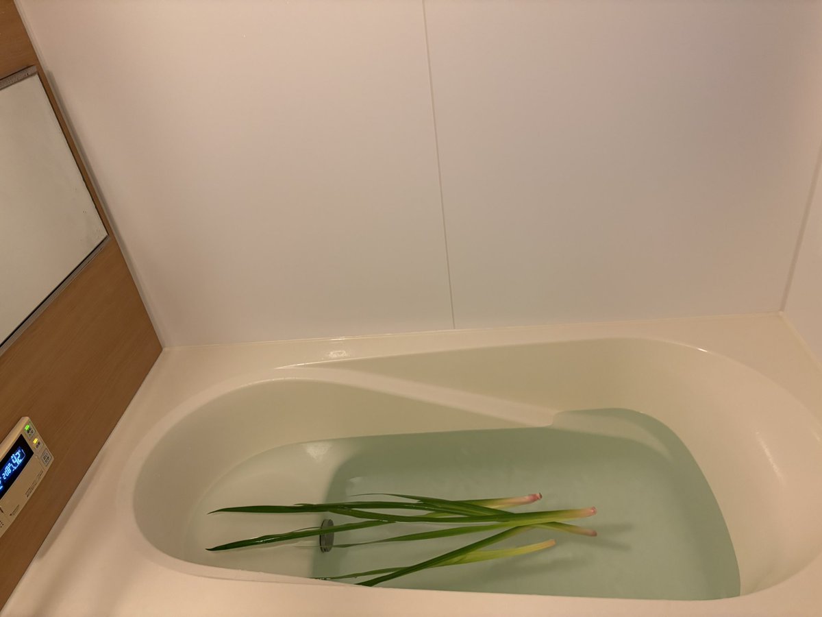 sgurasm's tweet photo. 昨晩菖蒲湯をしたら、子供に「ママー！お風呂にネギが入ってる😫 」って叫んでたw
いやいや。菖蒲湯毎年やってるけど♨️ https://t.co/HhUx53SWcL