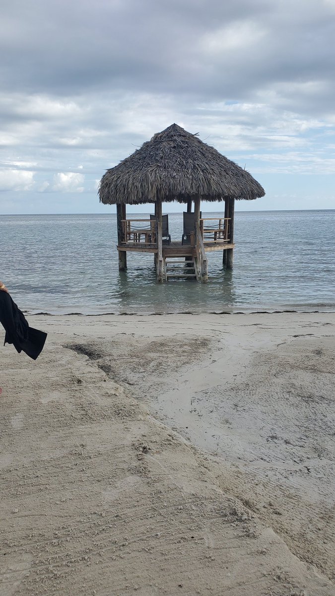 ArthurLFuller's tweet photo. #Jamaica Thank you! https://t.co/JBJyEZVM0n