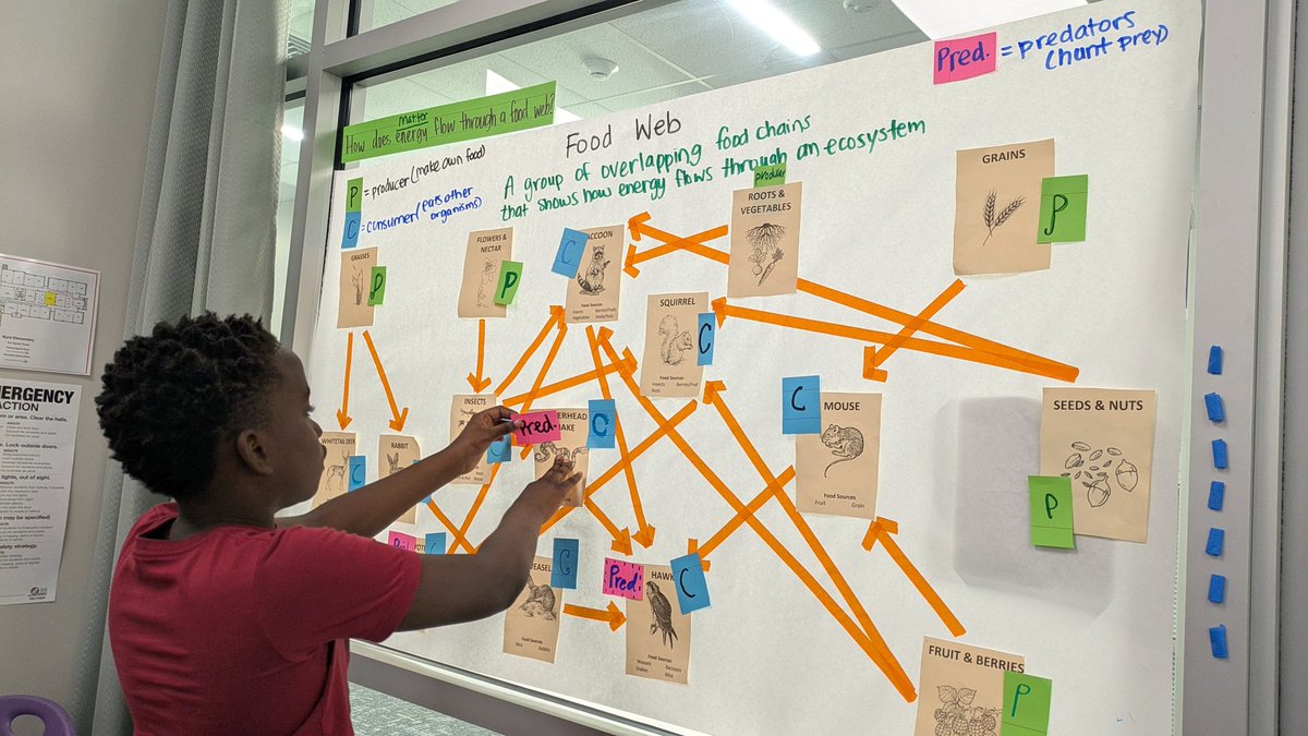 Mrs_KHughes's tweet photo. 4.12B Food Webs. Students engaged in building the interactive word wall. Every student made their contribution and discussed how matter and energy flow through a good web. #ByrdBestNothingLess @CFISDByrd @CyFairISD @ScienceToolkit @SciFairGloria https://t.co/m09FKOQs7W