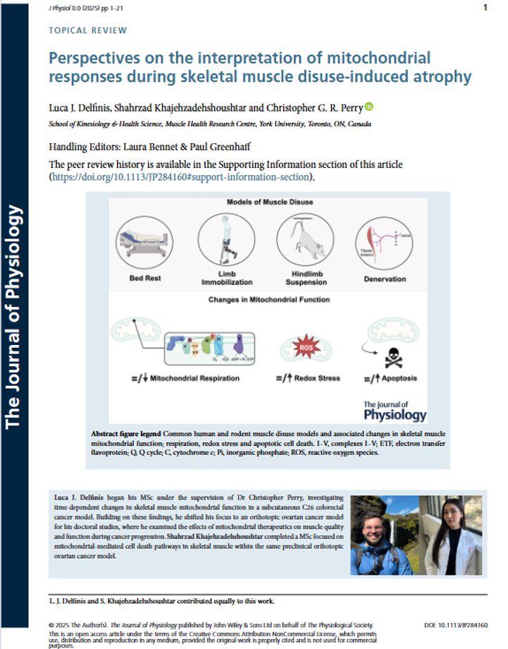 When is a change in mitochondrial bioenergetics reflective of 'mitochondrial dysfunction' vs 'intentional reprogramming'?

Here we present traditional vs alternative interpretations of mitochondrial responses to muscle disuse. 

physoc.onlinelibrary.wiley.com/doi/10.1113/JP…