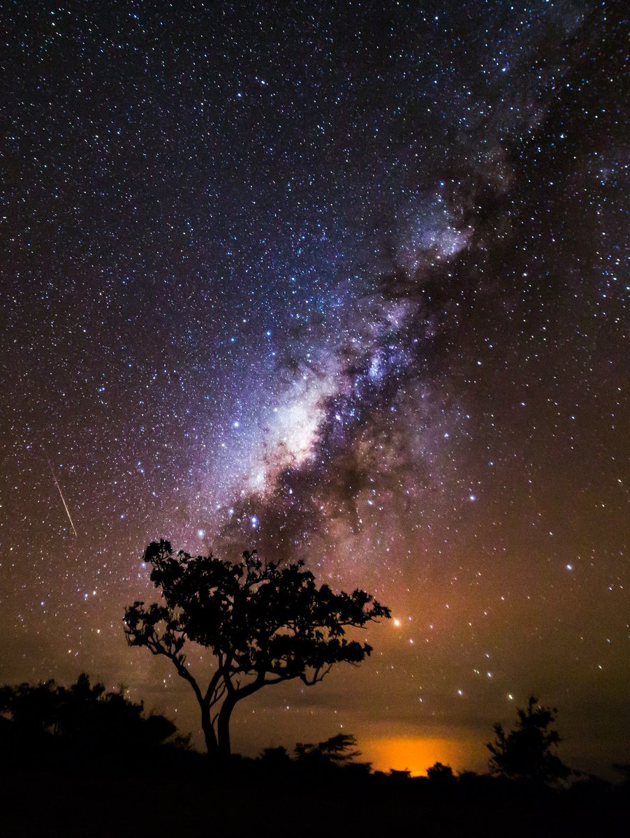 Starry Night Milky Way 🌌