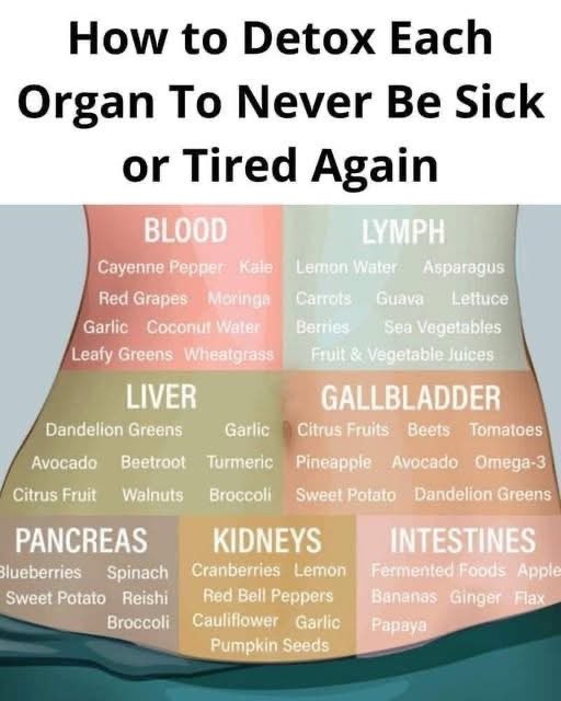 Fred’s Farm | Herbal Wellness 🌿 tweet media