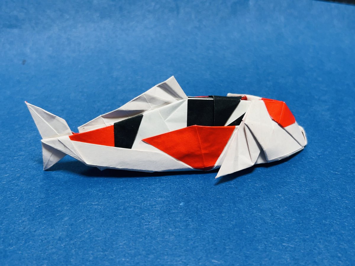 petitartgolgo13's tweet photo. #折り紙  #ニシキゴイ #origami #nishikigoi #Japanese_carp #過去作を見直す

「過去作を見直す」第２弾。

5月5日は過ぎてしまいましたが、「ニシキゴイ」にアタッチメントを作成して、「ニシキゴイ（三色）」にしてみました。

4分の1の黒の紙を使って、鶴の基本形をいじりました。
赤の面積が減ってしまって、寂しくなるので、一部本体の模様を変更しました（3枚目）。
いろんな模様にアレンジできそうです。

「ニシキゴイ」の折り図は、
「Origami Aquarium 水生生物の折り紙」に掲載されています。
https://t.co/gdYXNUpV8Y
