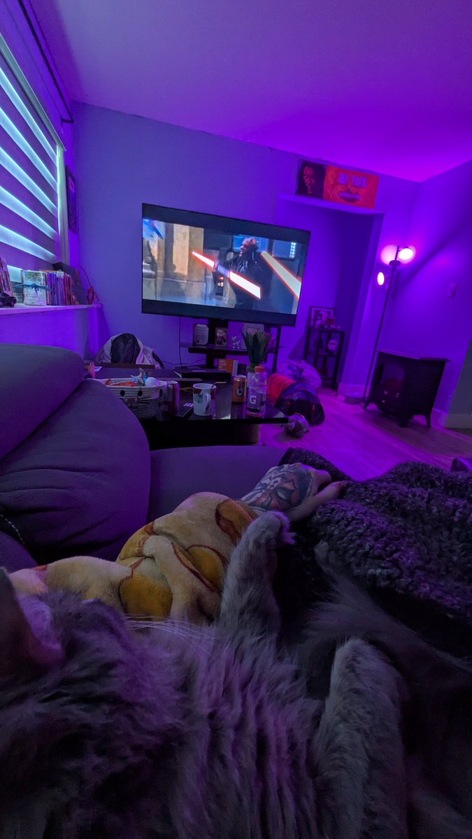 dragons_bakery's tweet photo. Yesterday we cuddled up and watched Star Wars (obviously) and Beru was actually watching it with me 😭
Happy Revenge of the Fifth ~ https://t.co/3XBtfVJt27