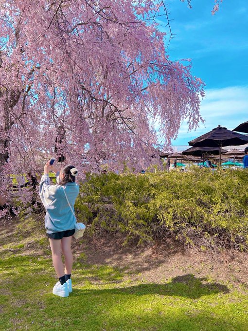 さらのTwitter画像42