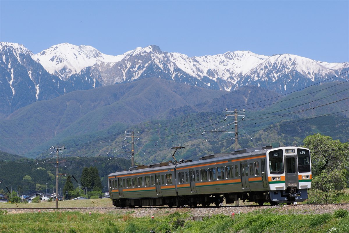 だいこん (@daikontweet) / Posts / X