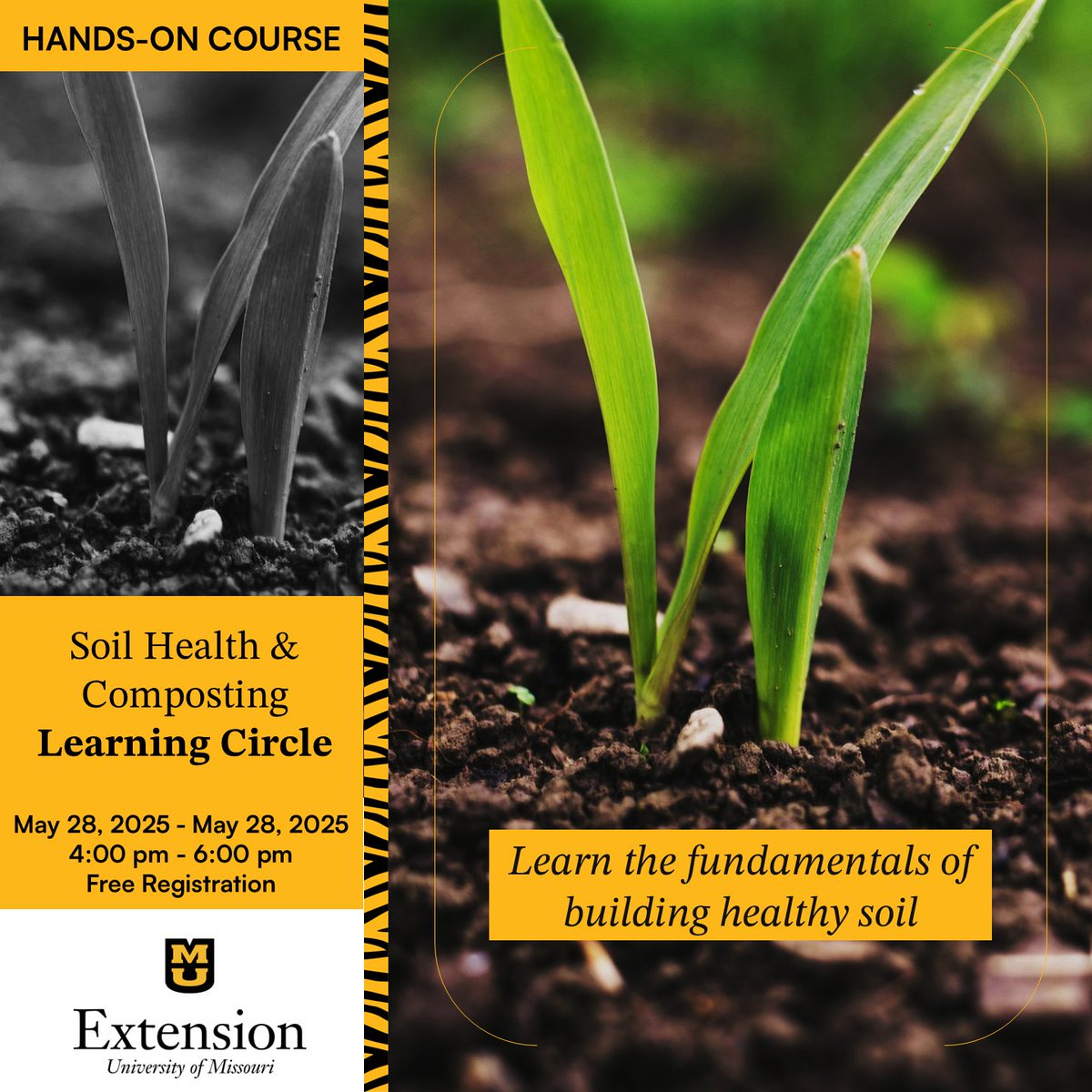Beginning farmers and ranchers can learn about improving soil fertility and creating quality compost at our Soil and Health Composting Learning Circle! We'll see you at Phi Global Farms in St. Louis. Register for free now at extension.missouri.edu

#MUExtSTL