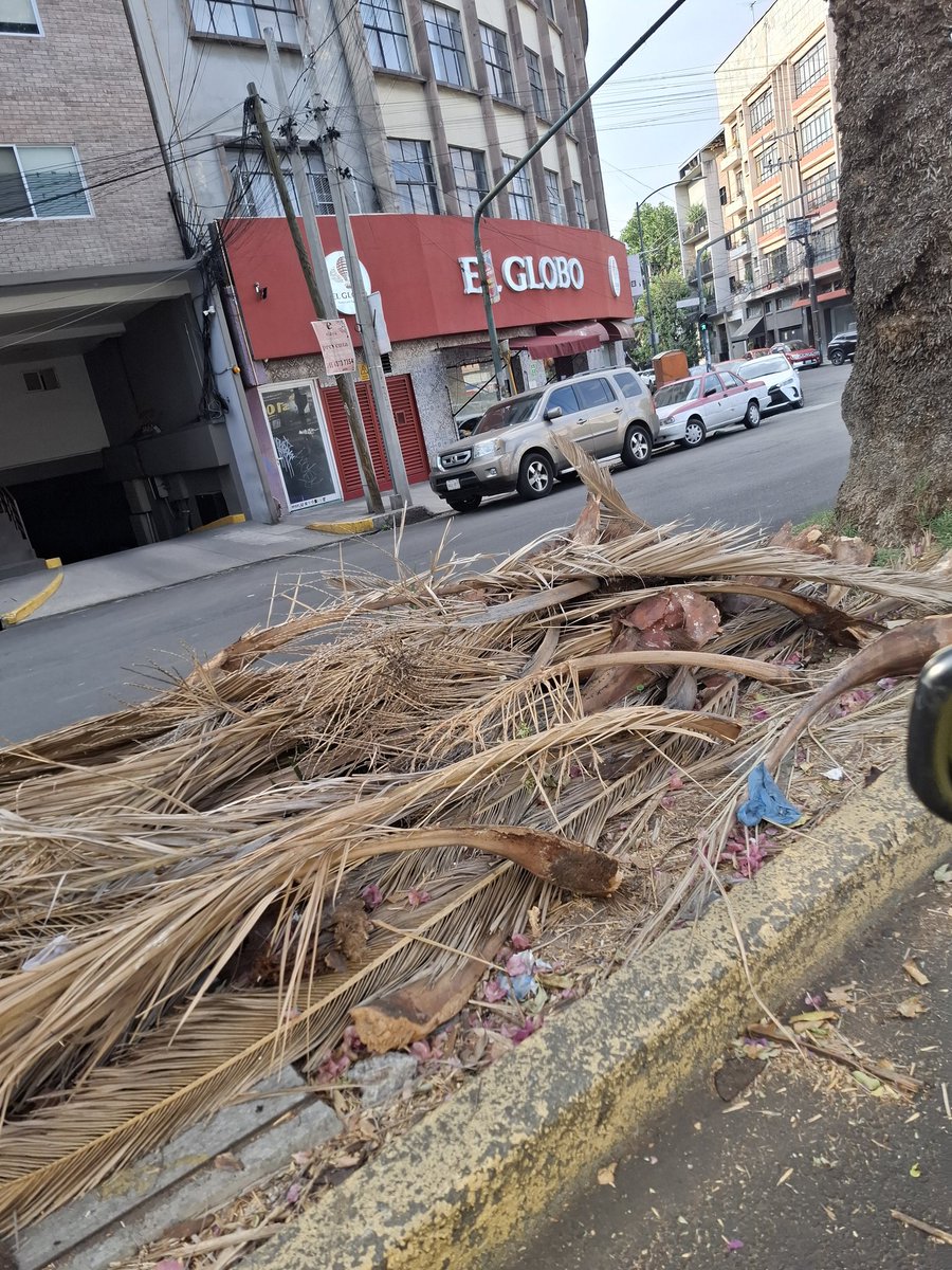 Elsa 😷 (@elsarodriguezc) on Twitter photo Alcalde <a href="/LuisMendozaBJ/">Luis Mendoza Acevedo</a> por favor mire cómo están los camellones de Diagonal San Antonio y también el de La Morena
Diagonal San Antonio 👇🏼 Alcalde <a href="/LuisMendozaBJ/">Luis Mendoza Acevedo</a> por favor mire cómo están los camellones de Diagonal San Antonio y también el de La Morena
Diagonal San Antonio 👇🏼