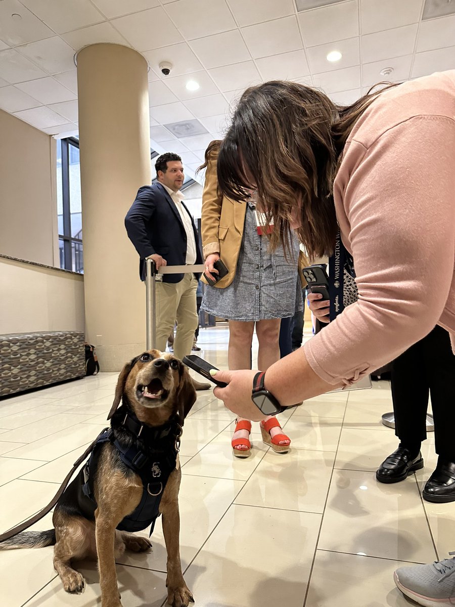 firefighter89's tweet photo. Dream interview with Freddy with the #BeagleBrigade a part of US Customs and Border Protection. Freddy said he could use some more tennis balls and a few more stuffed ducks.
@AmericanAgNet #USCustomsandBorderProtection https://t.co/3BSCyscO2X