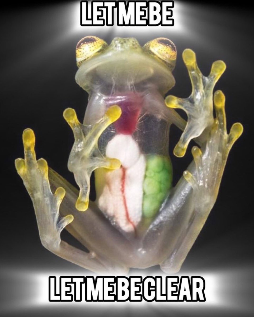 🐸 tweet media