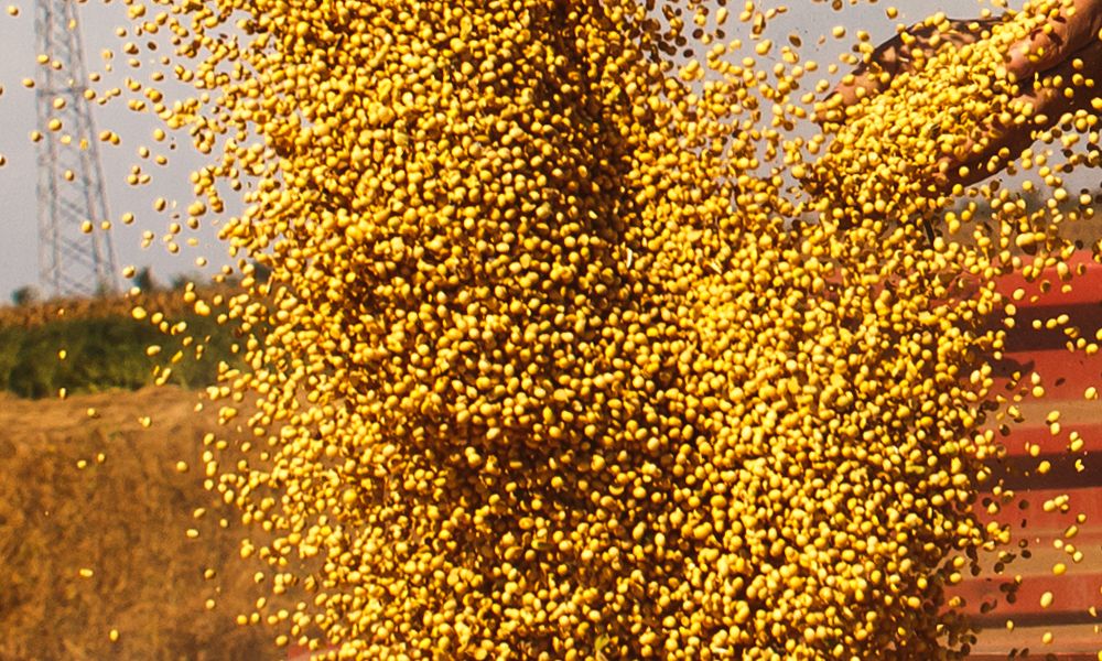 Los números van confirmando los pronósticos de Unicampo Uruguay publicados en marzo 
👇 👇 👇 👇 
buff.ly/AkRtWpB