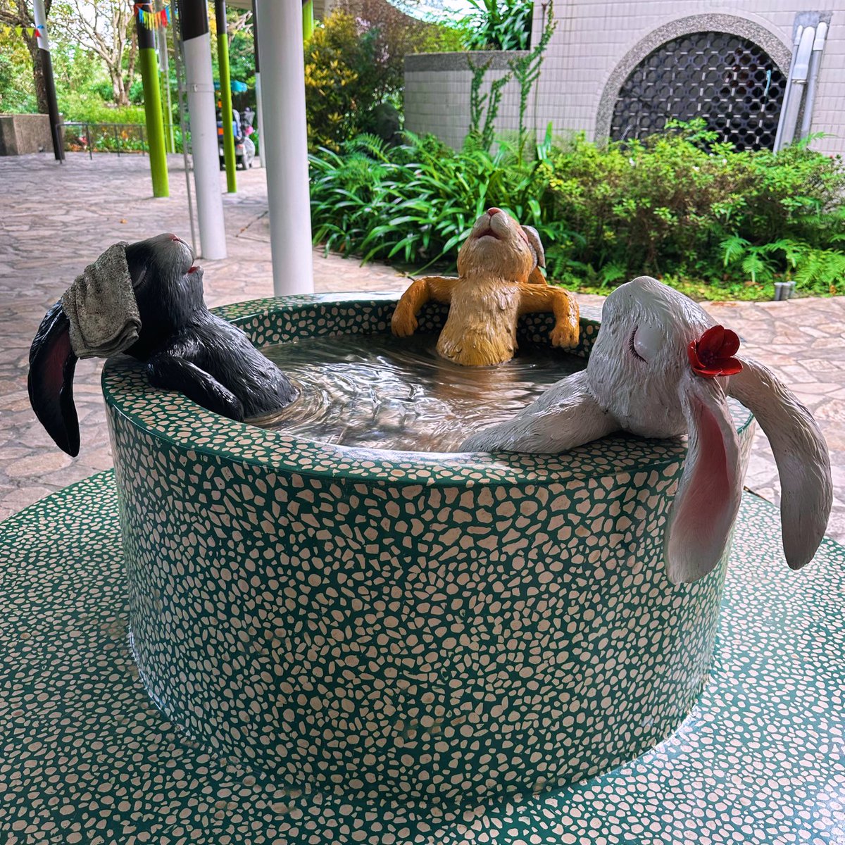 Asian American tweet media