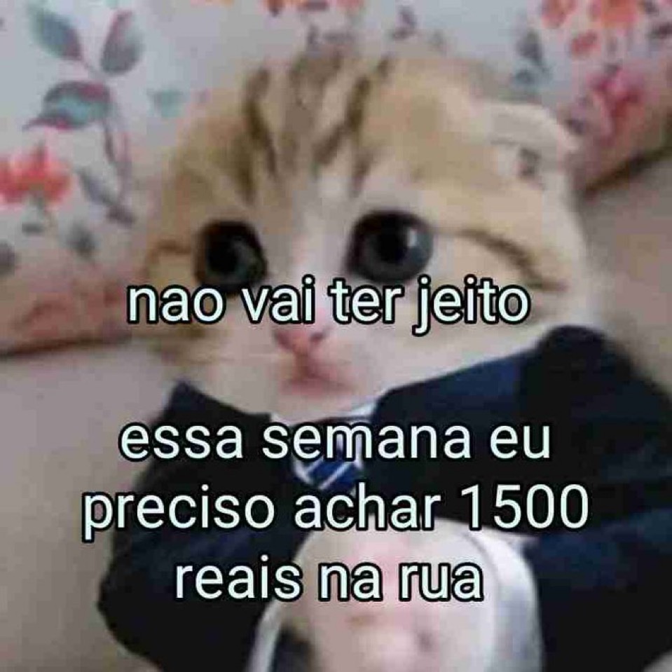 Trouxinha (@euovitinn) on Twitter photo 