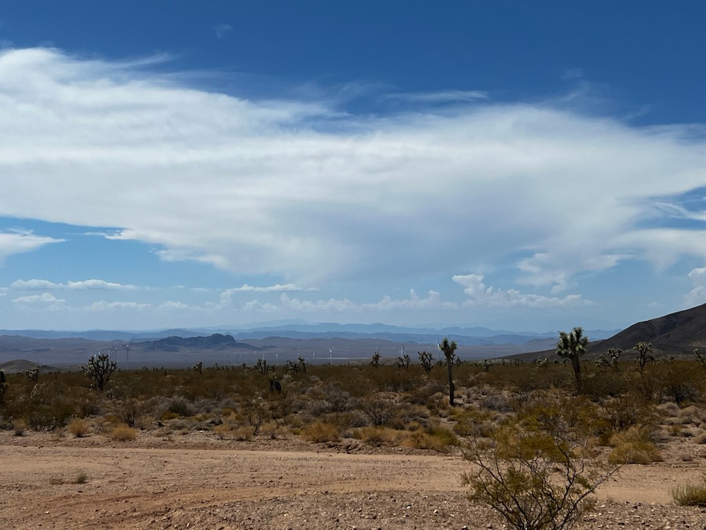 westernlandsale's tweet photo. EVENT WEEK FOR WINDMILL ACRES 💙

📍White Hills, AZ
📅 Saturday, May 10th
📞 1-800-THE-LAND

FIRST COME, FIRST SERVED - give us a call today! ✨️ https://t.co/wwF8th4ttC