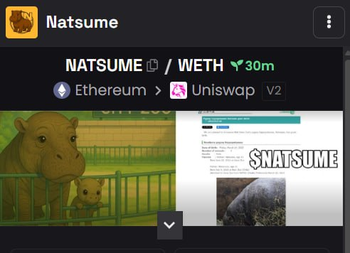 natsumeoneth's tweet photo. #NATSUME is new to eth chain but will follow in the path of her child #KOBUSHI 

DEXSCREENER UPDATED 

https://t.co/NSaj9HYn9K https://t.co/LZRTFyOEtU