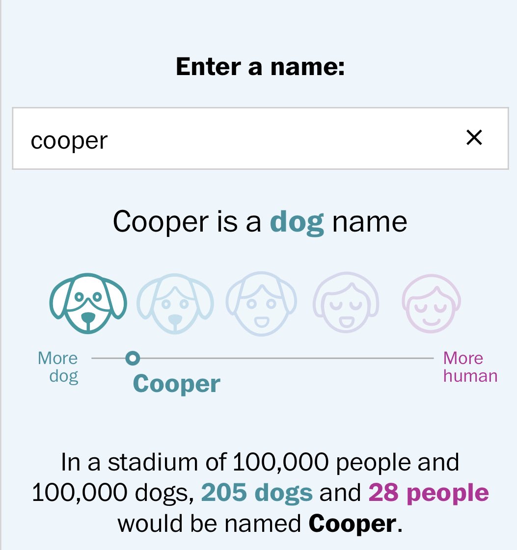 im never beating the puppything allegations