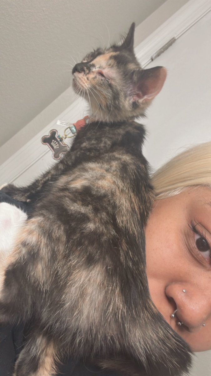 lover4rod's tweet photo. i love my fur baby🥹 https://t.co/IpKvgn93jT