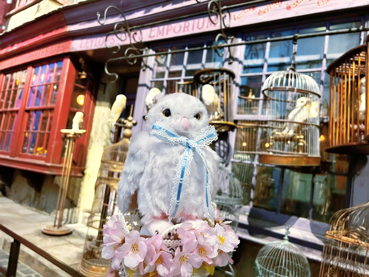 m0x0hr's tweet photo. 🌸🦉🌸🦉🌸🦉🌸🦉🌸🦉🌸🦉🌸
20250430
#wbtourtokyo
#ハリポタツアー
#スタジオツアー東京
#お出かける魔法生物
#customiul
🌸🦉🌸🦉🌸🦉🌸🦉🌸🦉🌸🦉🌸 https://t.co/sIRfxDTr8J
