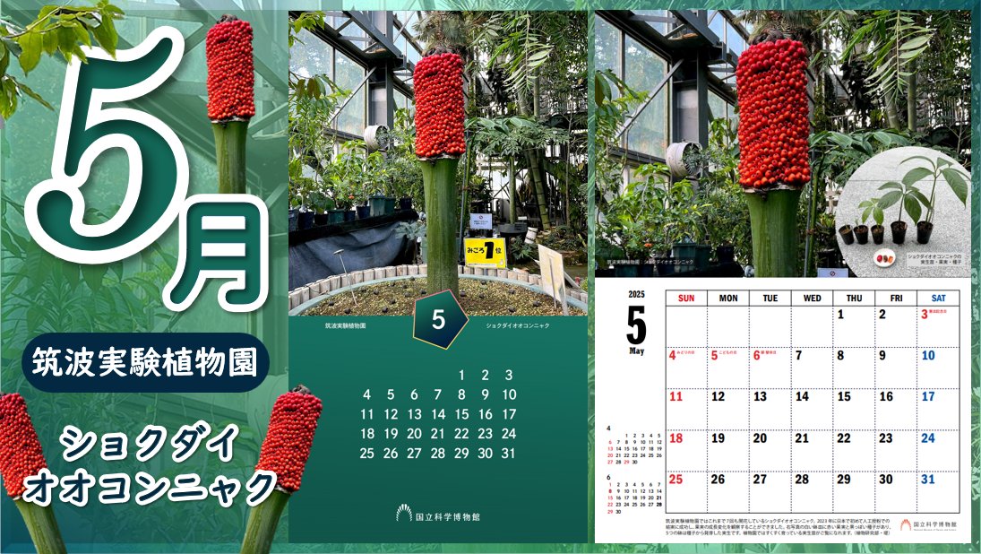 かはく【国立科学博物館公式】 on X