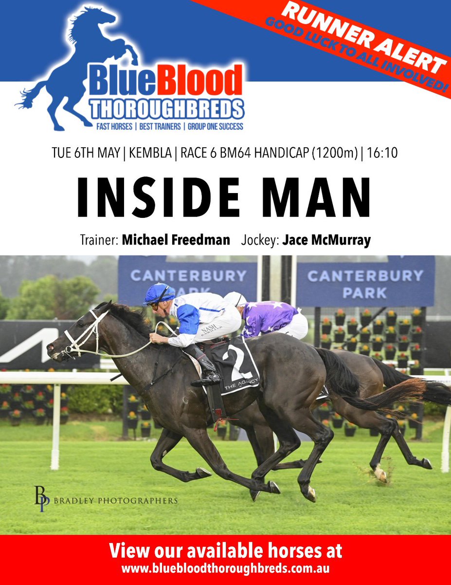 BlueBlood Thoroughbreds (@bluebloodaus) on Twitter photo 