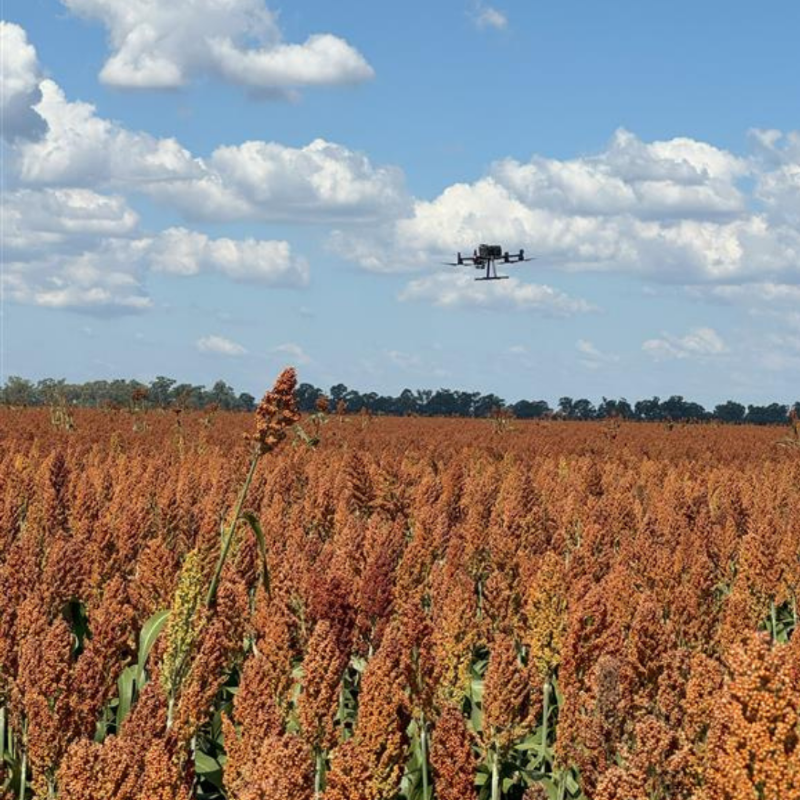 unisqaus's tweet photo. They're about to change the game... 

Join our Ag Tech Adoption team at their Field Day this Friday, where they'll demonstrate what's involved in implementing their new technologies on the farm... 🚜

@TosariCropRC @AgAdoption @ToniGillis3