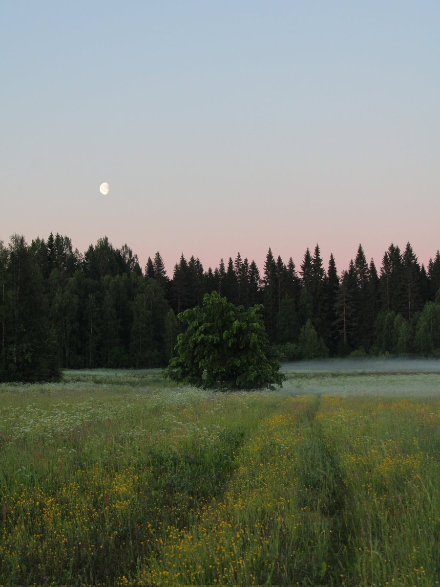 artistryhere's tweet image. 