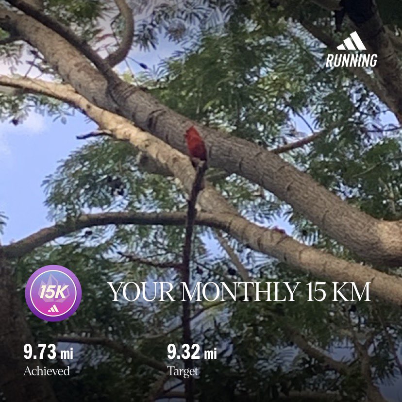 peacefulPru's tweet image. #walkRun #fitnessjourney