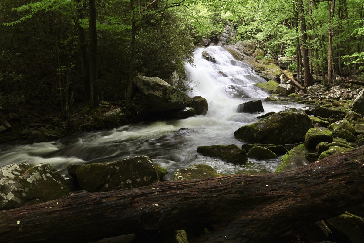 J_Sprankle's tweet image. A magical weekend in the Smokies featuring majestic views of Mount Leconte and Lynn Camp Prong Cascades! ⛰️