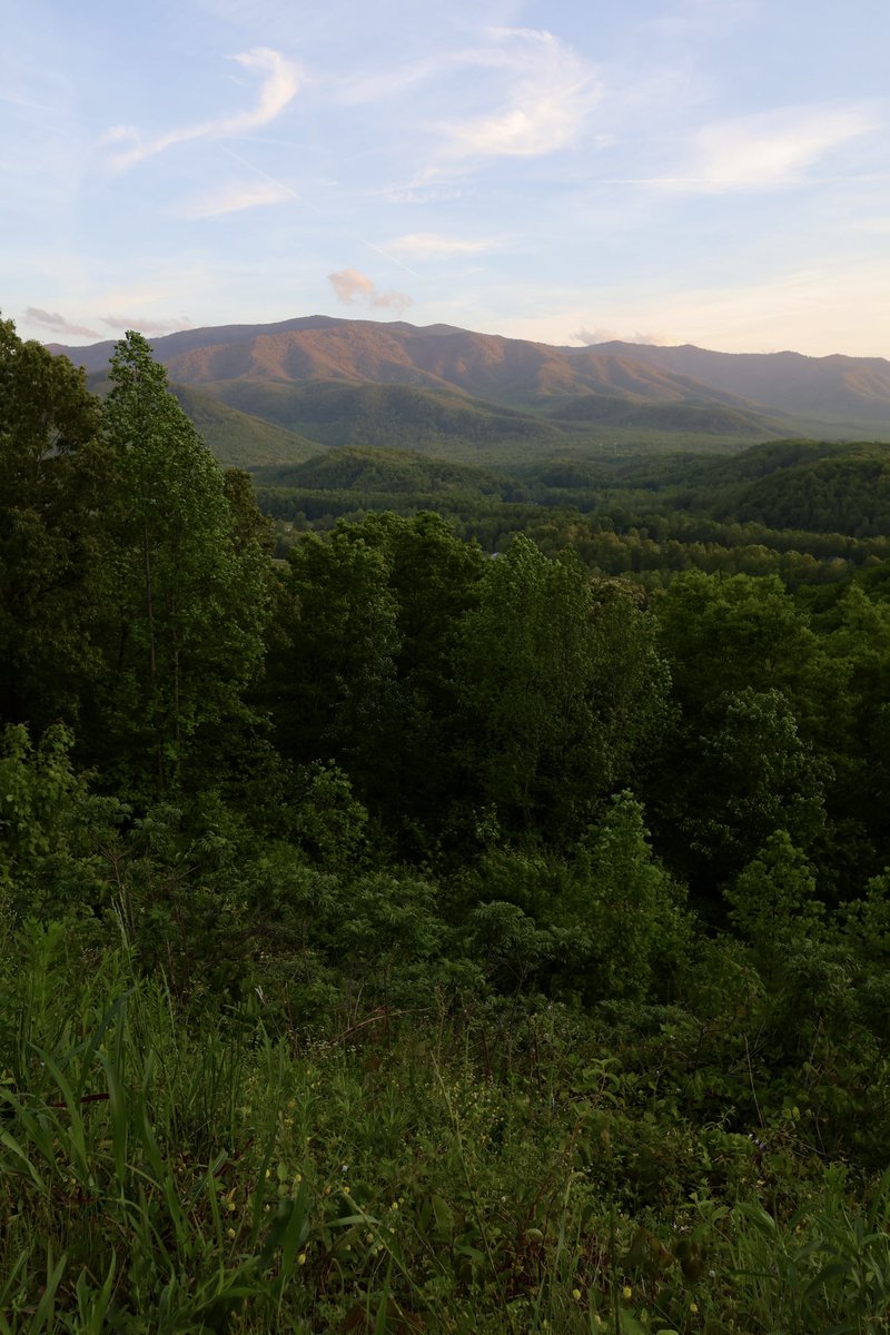J_Sprankle's tweet image. A magical weekend in the Smokies featuring majestic views of Mount Leconte and Lynn Camp Prong Cascades! ⛰️