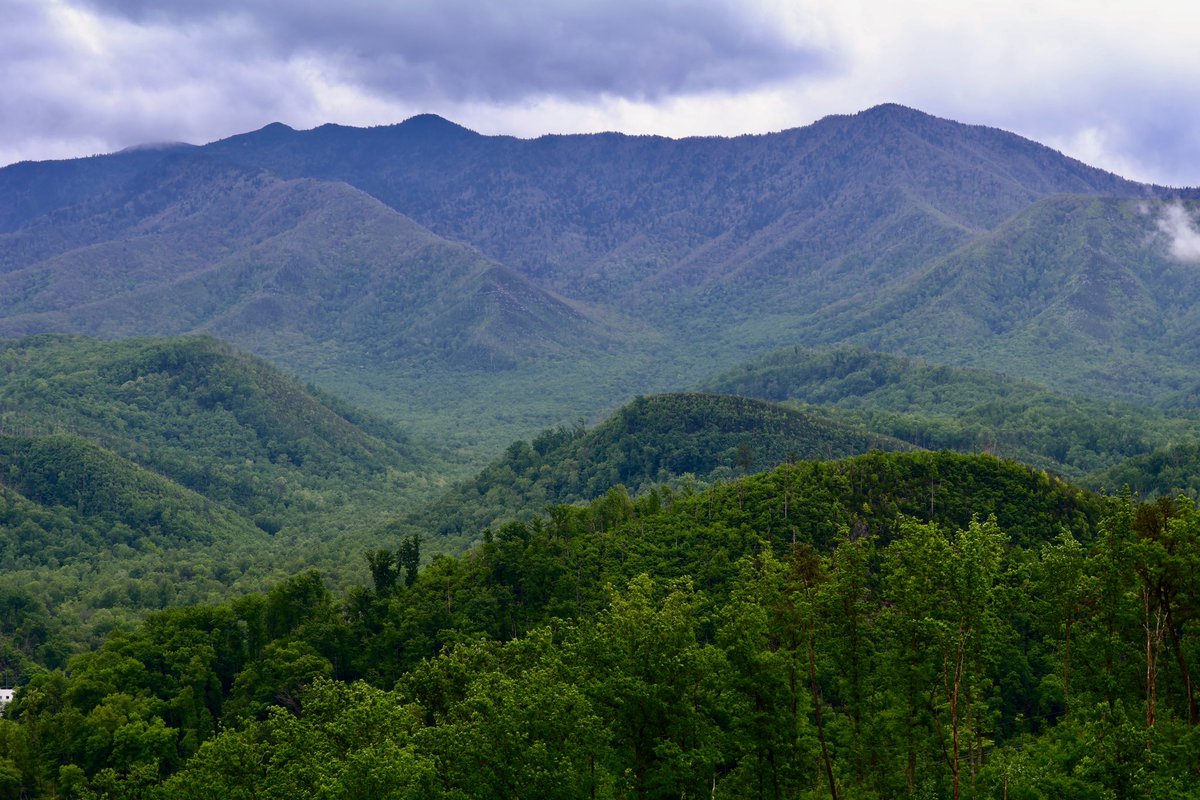 J_Sprankle's tweet image. A magical weekend in the Smokies featuring majestic views of Mount Leconte and Lynn Camp Prong Cascades! ⛰️