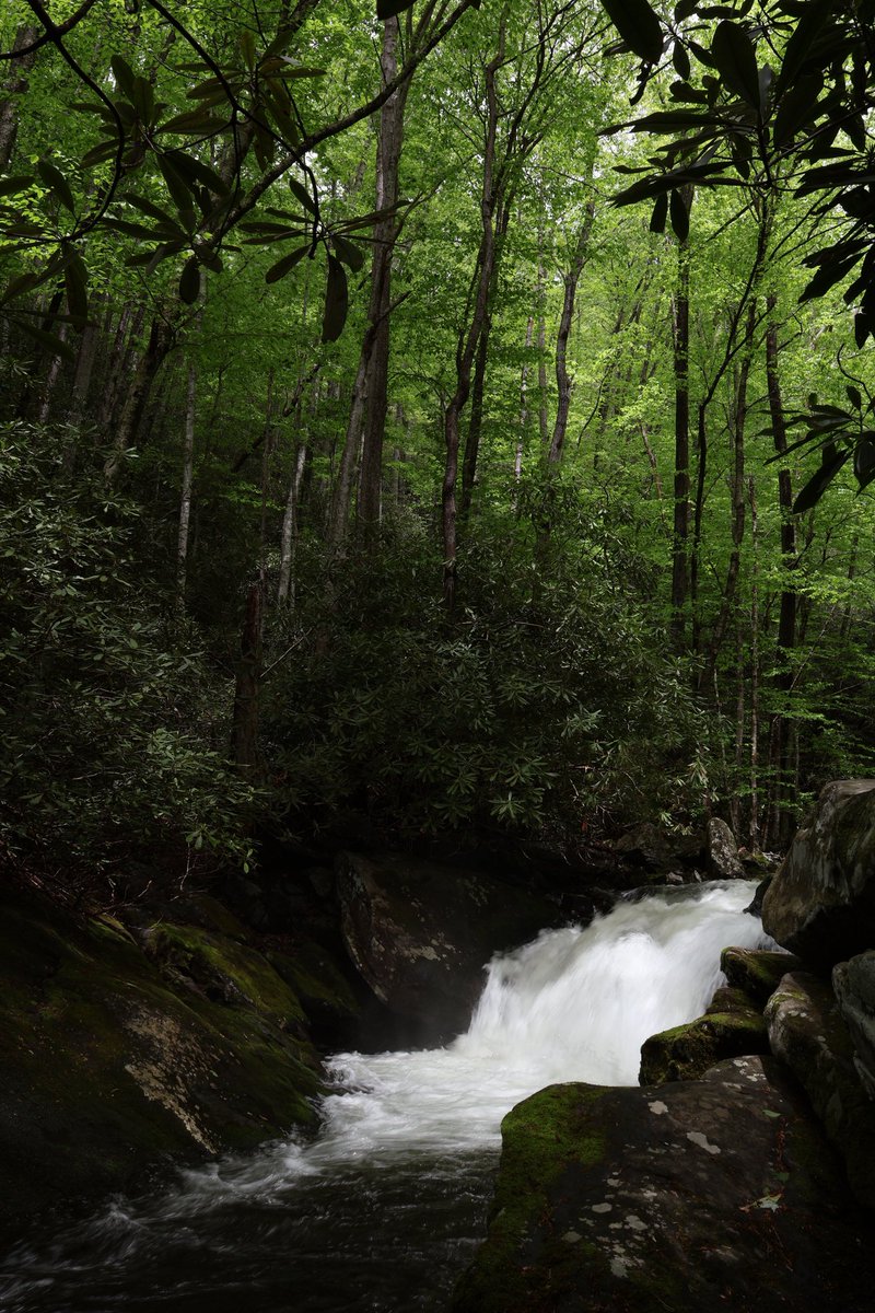 J_Sprankle's tweet image. A magical weekend in the Smokies featuring majestic views of Mount Leconte and Lynn Camp Prong Cascades! ⛰️