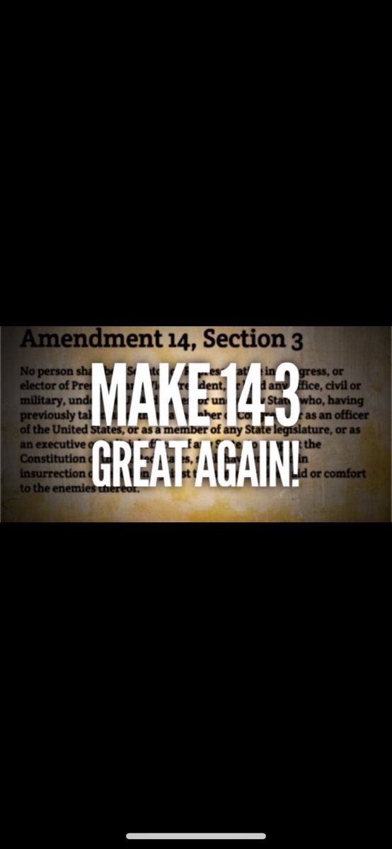 Ingridebap's tweet image. Let’s stick to the facts &amp;amp; not arguments that are invalid, circumvented or not supported in the actual text of the #14thAmendmentSection3