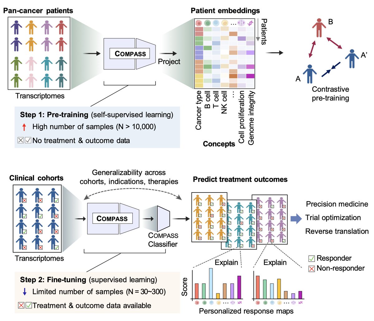 Marinka Zitnik (@marinkazitnik) on Twitter photo 📢 🧬 New preprint!
Can we predict which cancer patients will benefit, before treatment begins? <a href="/WanXiang_Shen/">Wan Xiang Shen</a>
Immunotherapy saves lives but many patients don’t respond to treatment, and we still lack reliable tools to predict who will benefit
We introduce COMPASS, foundation 📢 🧬 New preprint!
Can we predict which cancer patients will benefit, before treatment begins? <a href="/WanXiang_Shen/">Wan Xiang Shen</a>
Immunotherapy saves lives but many patients don’t respond to treatment, and we still lack reliable tools to predict who will benefit
We introduce COMPASS, foundation