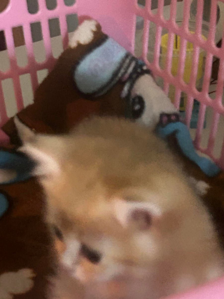 냠