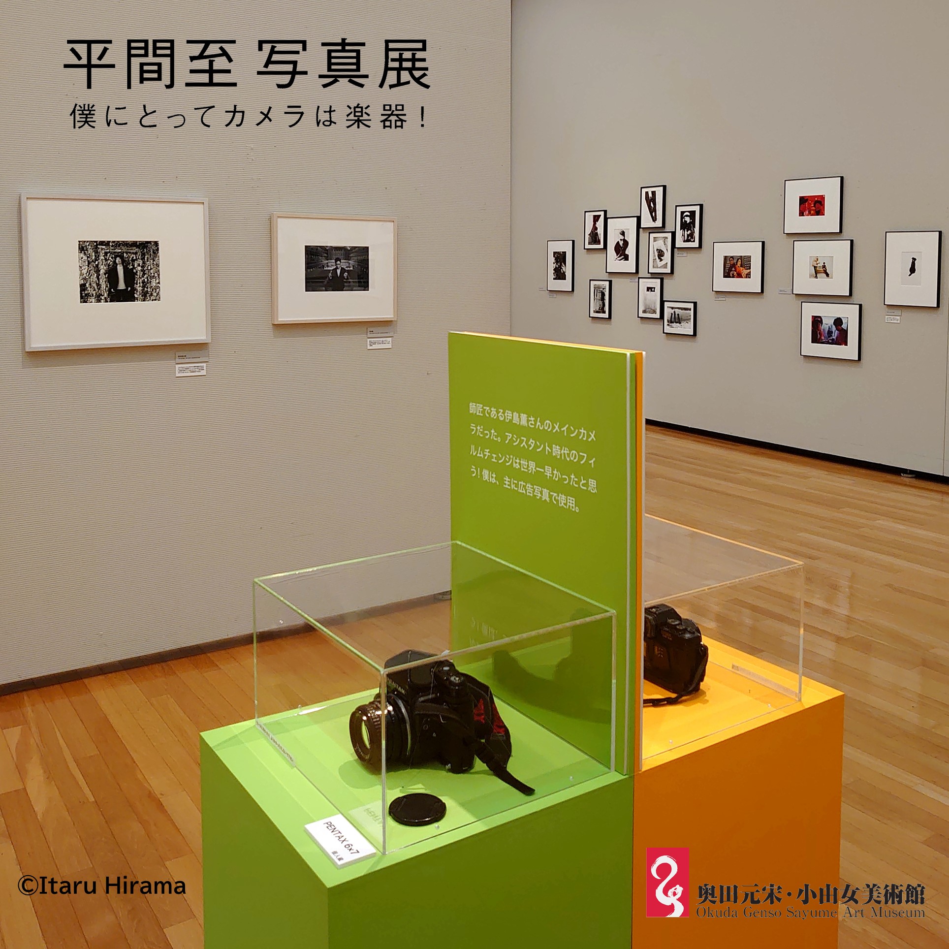 奥田元宋展 卆寿記念 [図録] | 練馬区立美術館, 茨城県近代