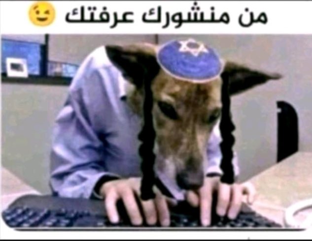 bomblala28's tweet photo. @crazycharleyd @Yemenimilitary https://t.co/kSQJ35o9Ix