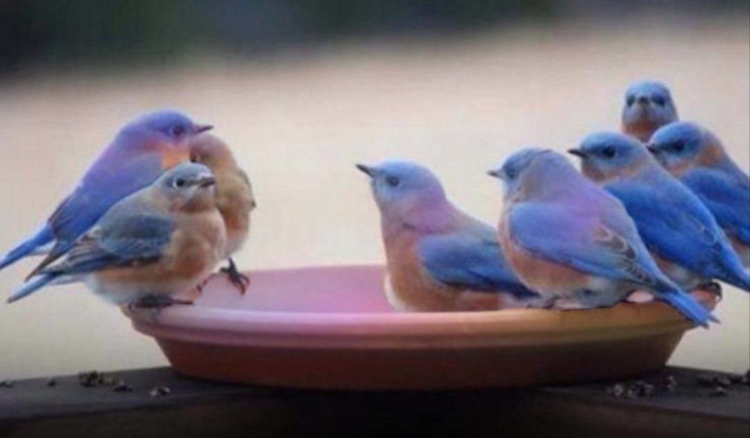 परिस्थितिया जितना ज्यादा आपको तोड़ती है उससे कई ज्यादा आपको मजबूत बना देती हैं।