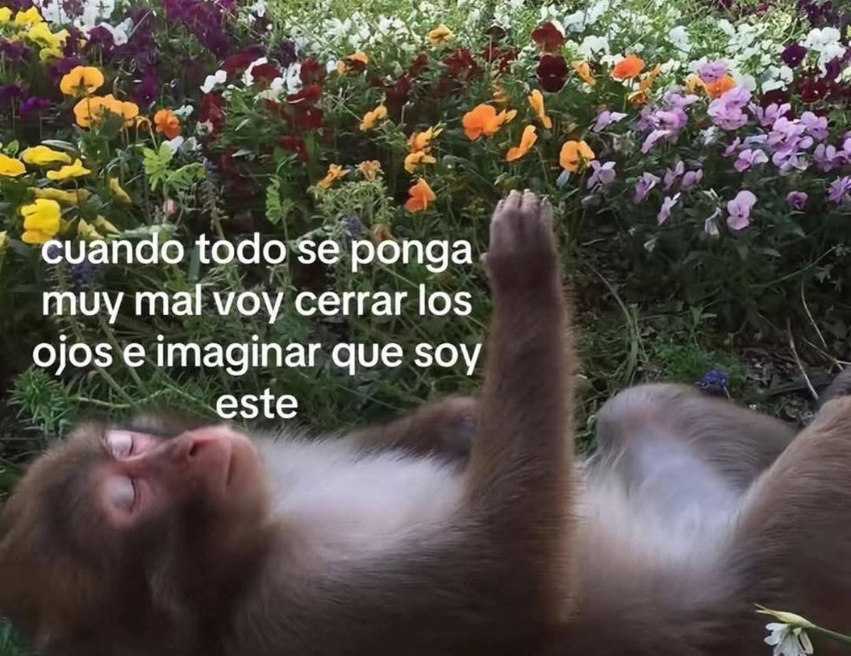 emociones amarillas (@conoloracigarro) on Twitter photo 