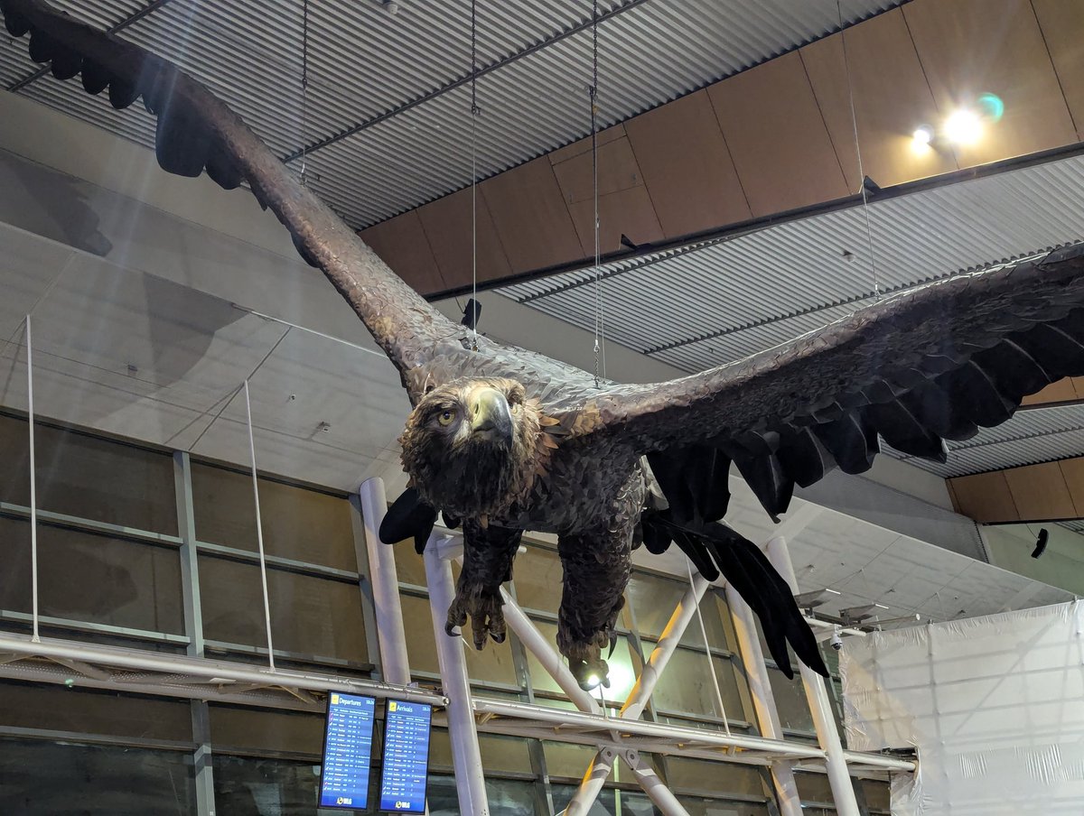 Luke Wallace (@lukeluca) on Twitter photo Just saw these last week, pretty crazy they are coming down. Very curious as to what will replace them, as they seem like a perfect match for the space.
cnn.com/2025/05/05/tra… Just saw these last week, pretty crazy they are coming down. Very curious as to what will replace them, as they seem like a perfect match for the space.
cnn.com/2025/05/05/tra…