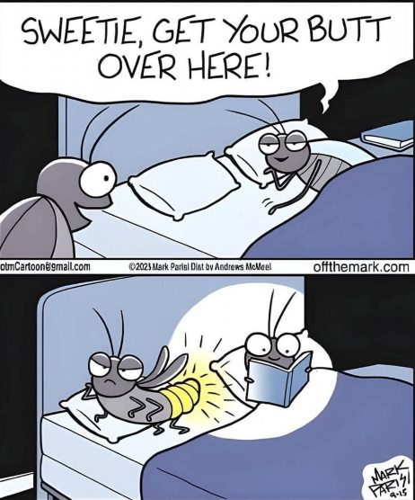 Booknerdia1's tweet image. #bookmemes #readingmemes #booklight #readinginbed