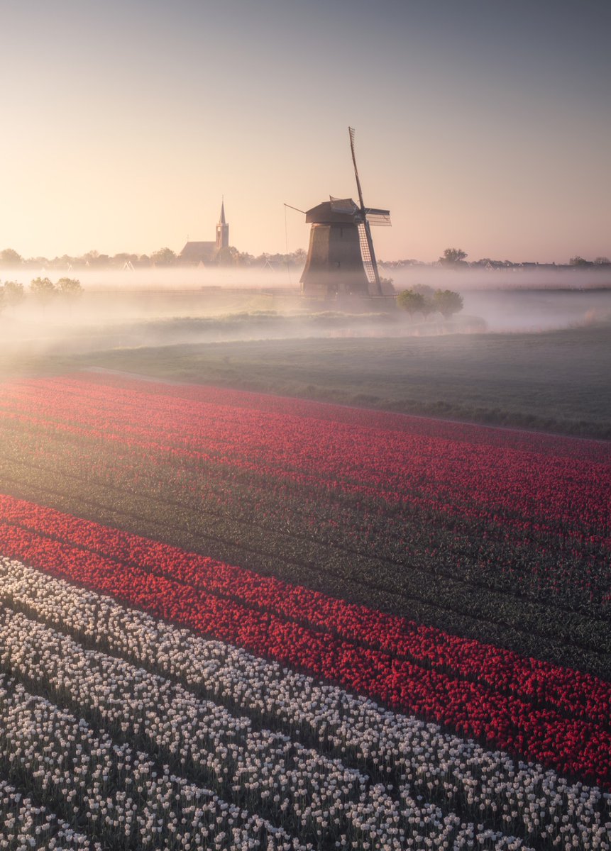 RBekker93's tweet photo. Moggeh! Wat een prachtige ochtend mocht ik een week geleden beleven boven de Nederlandse tulpenvelden! https://t.co/JcaWi8l8Zb